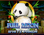 Full Moon: White Panda